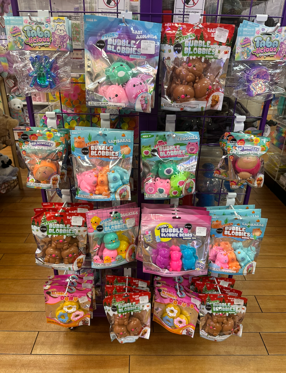 Various types of squishies fill up the racks of Learning Express.